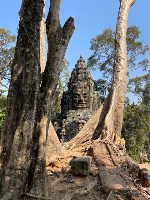 Sunrise Shared Tour in Angkor From Siem Reap - Mid-Morning Activities