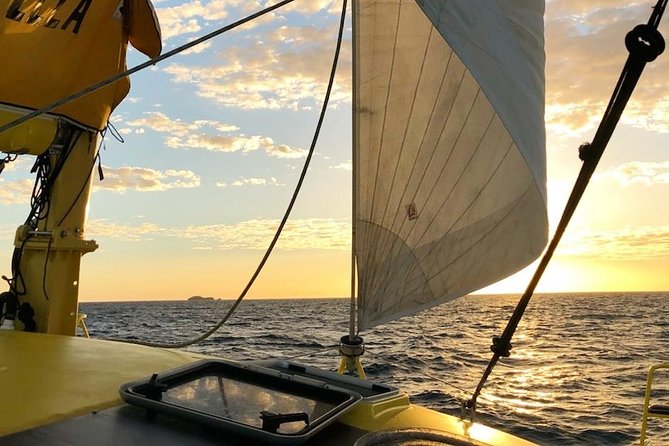 Sunset Catamaran Cruise With Drink, From Fremantle - Customer Reviews and Support