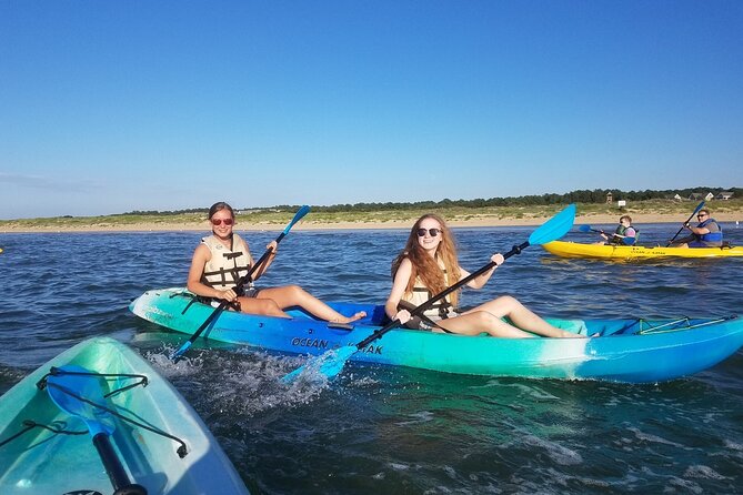 Sunset Dolphin Kayak Tours - Dolphin Sightings