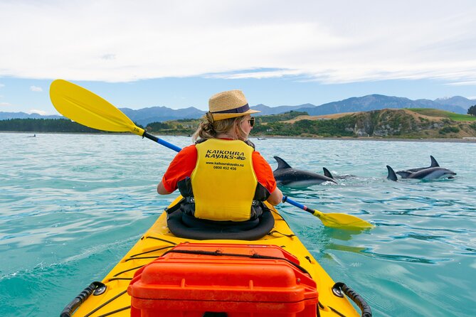 Sunset Evening Kayaking Tour - Kaikoura - Cancellation Policy