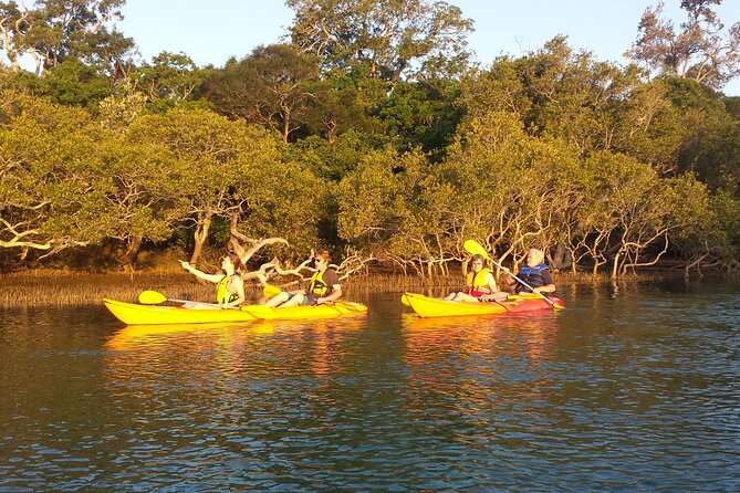 Sunset Kayak Eco Tour With Marine Scientist - Cancellation Policy Details