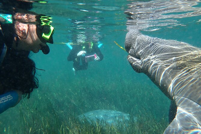 Swim With Manatees In Crystal River, Florida - Cancellation Policy Information