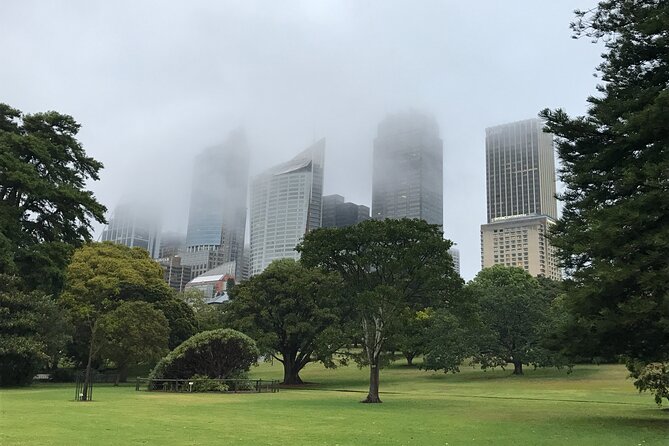 Sydney Small-Group Walking Tour: The Rocks & Botanic Garden - Tour Guide Insights