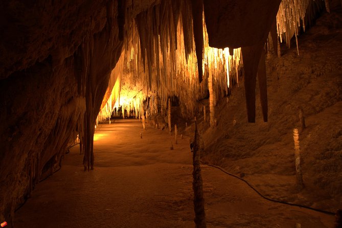 Tahune Airwalk & Hastings Cave Active Day Tour From Hobart - Activities and Itinerary Overview