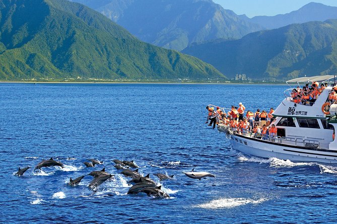 Taiwan Hualien Whale Watching Dolphin - Common questions