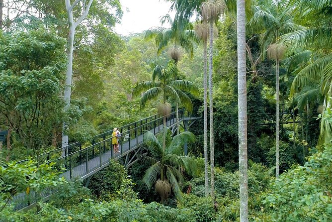 Tamborine Rainforest Skywalk Hop on Hop off Shuttle - Sum Up