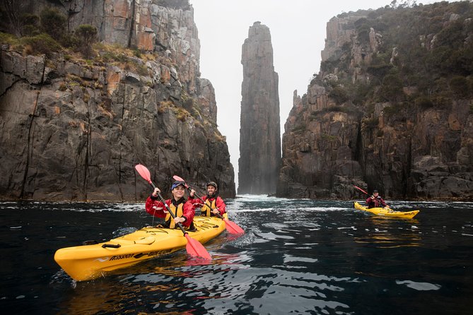 Tasman Peninsula Full Day Kayaking Tour - Customer Reviews