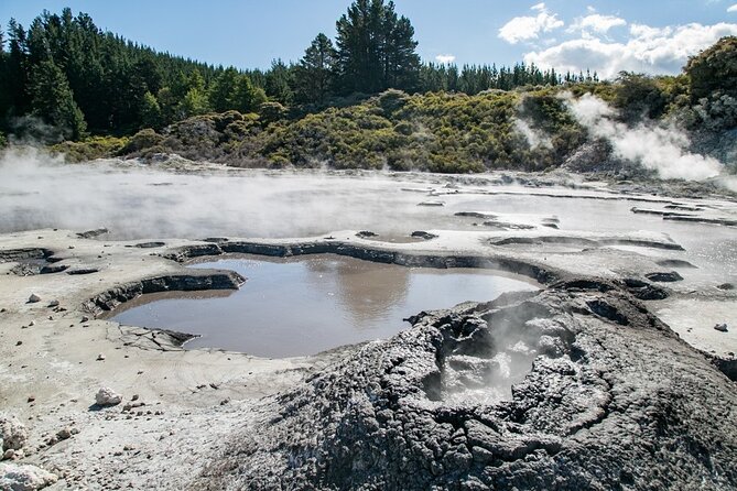 Tauranga Tour - Rotorua Hells Gate Geothermal Park & Mud Spa - Booking Information Details