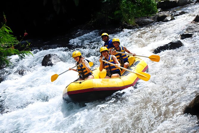 Telaga Waja White Water Rafting - With No Step or Stair : Bali Best Adventures - Cruise Ship Passengers Welcome for Rafting