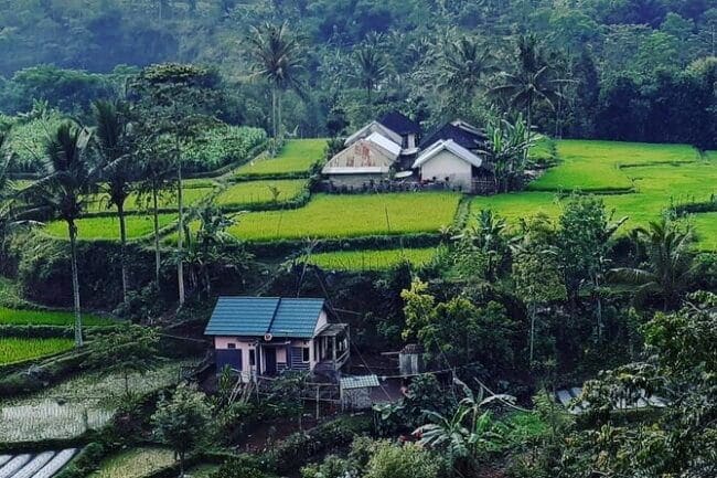 Tetebatu Cycling Tour Rice Terraces, Waterfall, And Monkey Forest - Sum Up