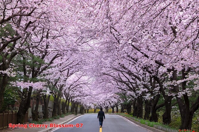 The Beauty of the Korea Cherry Blossom Discover 11days 10nights - Gastronomic Delights of Korea