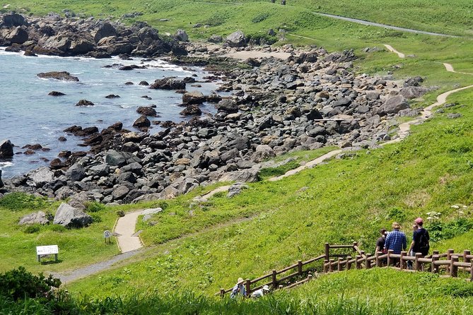 The Best Morning and Michinoku Shiokaze Trail Trekking in the Tanesashi Coast Natural Grassland - Participant Guidelines