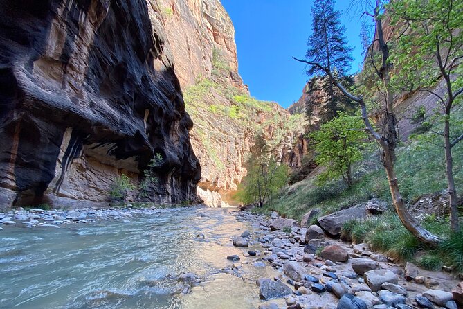 The Narrows: Zion National Park Private Guided Hike - Positive Guest Reviews