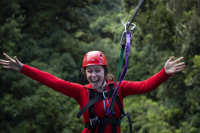 The Original Canopy Zipline Experience Private Tour From Auckland - Cancellation Policy Details
