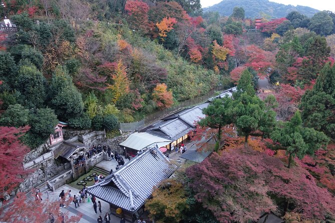 The Original Early Bird Tour of Kyoto. - Traveler Resources