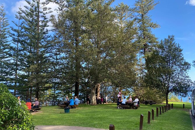 Three-Hour Guided Bushwalk With Breakfast, Cook Monument  - Norfolk Island - Reviews and Pricing