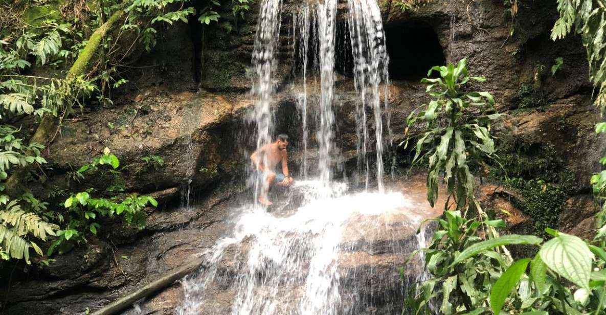 Tijuca Forests Hike: Caves, Waterfalls and Great Views - Activity Description