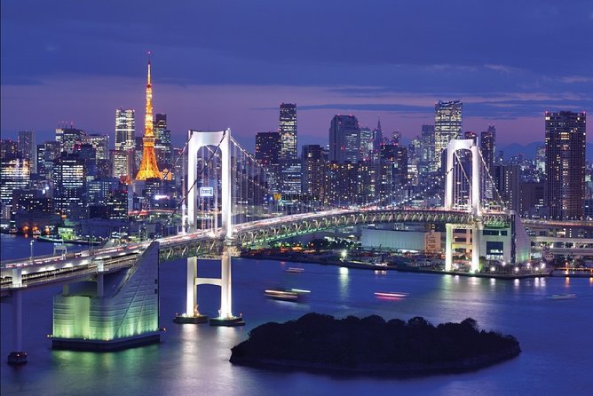 Tokyo Airport Transfers: Tokyo-Narita Airport NRT to Tokyo City in Luxury Van - Pricing and Terms