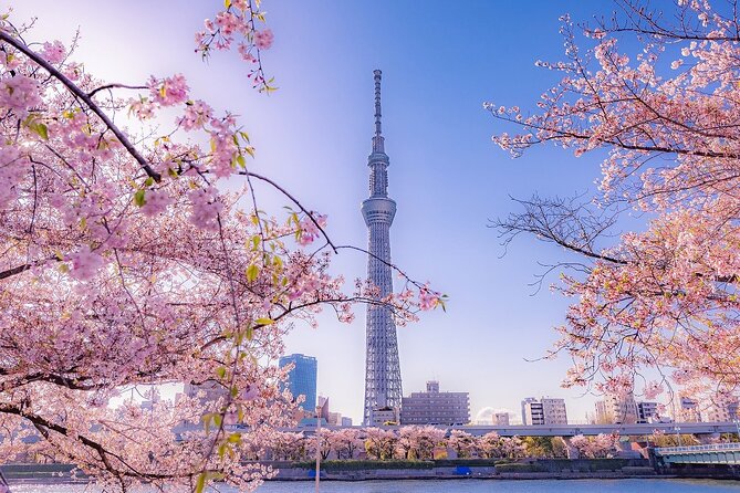 Tokyo Asakusa Half Day Walking Tour With Local Guide - Sum Up