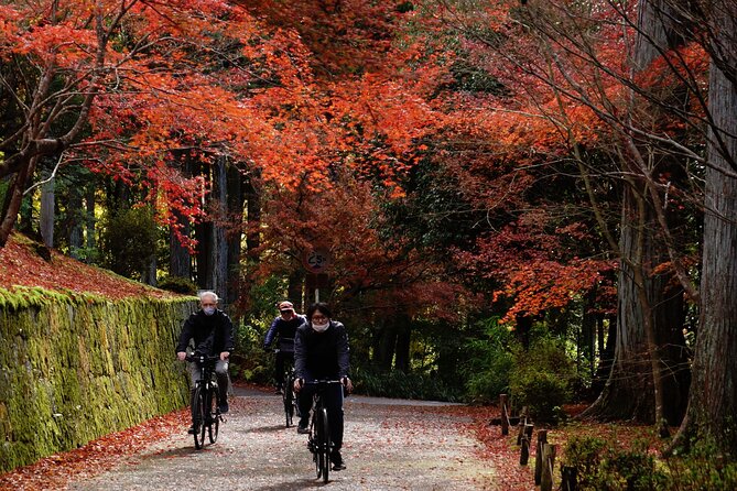 Traditional Kyoto Full-Day Bike Tour and Optional Sake Tasting - Start Time