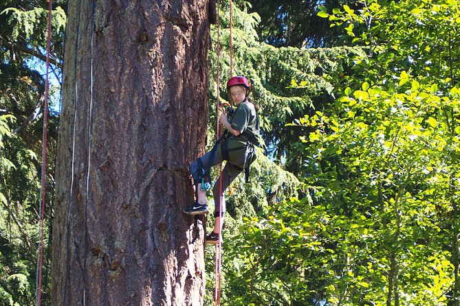 Tree Canopy Climbing on Lopez Island - Activity Details and Safety Information