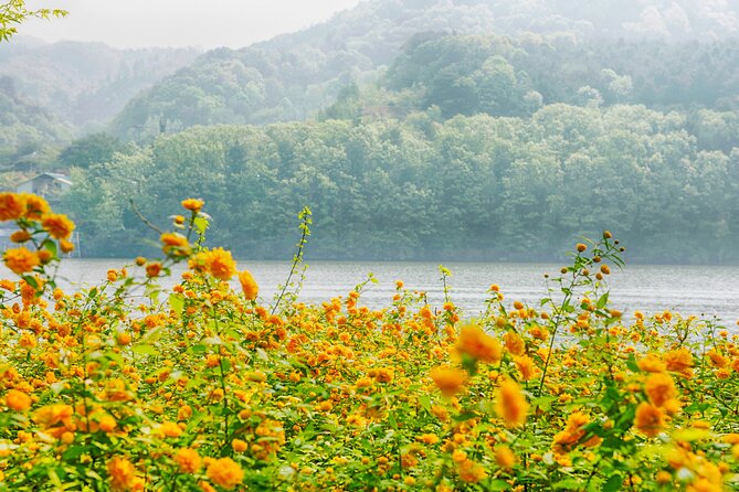 Trip to Nami Island With Petite France & Italian Village, Garden of Morning Calm - Booking Process and Confirmation