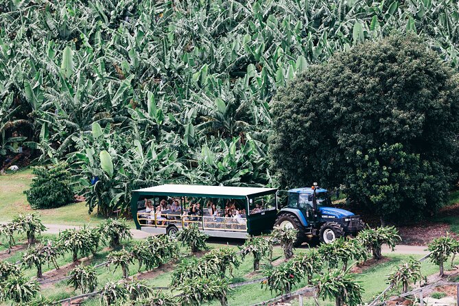 Tropical Fruit World Farm Full Tour - Facilities and Services Overview