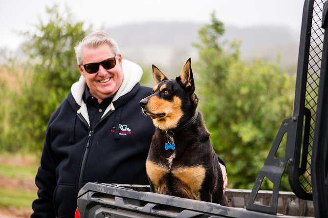 Truffle Hunt and Taste Experience in Oberon, NSW Australia - Truffle Hunt Guidelines