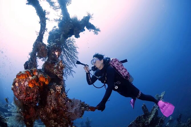 Try Diving in Tulamben - Shipwreck - Common questions