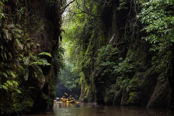 Twilight Kayak Glow Worm Tour - Reviews and Highlights