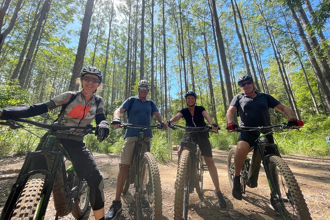 Two-Hour Guided Electric Mountain Bike Tour  - Noosa & Sunshine Coast - Reviews and Ratings