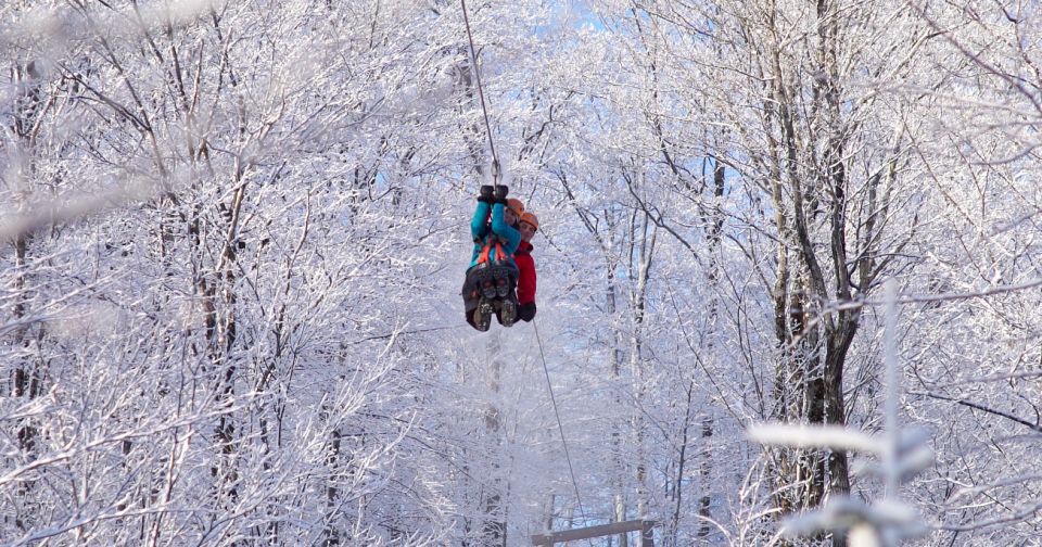 Tyroparc: Via Ferrata Guided Tour and Zipline Combo Ticket - Inclusions: Activities and Safety Measures