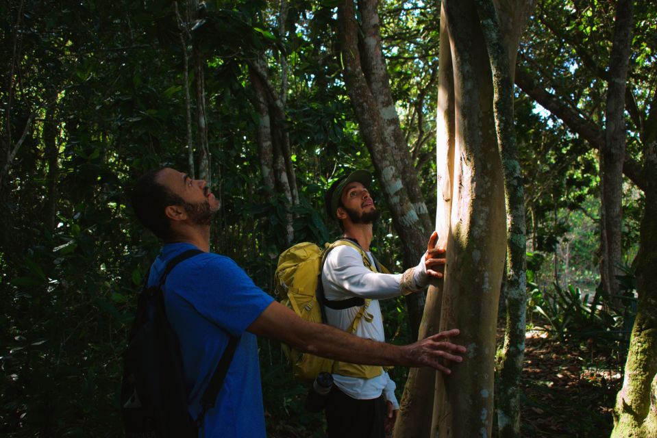 Ubatuba - Trail to 7 Beaches - Trail Description