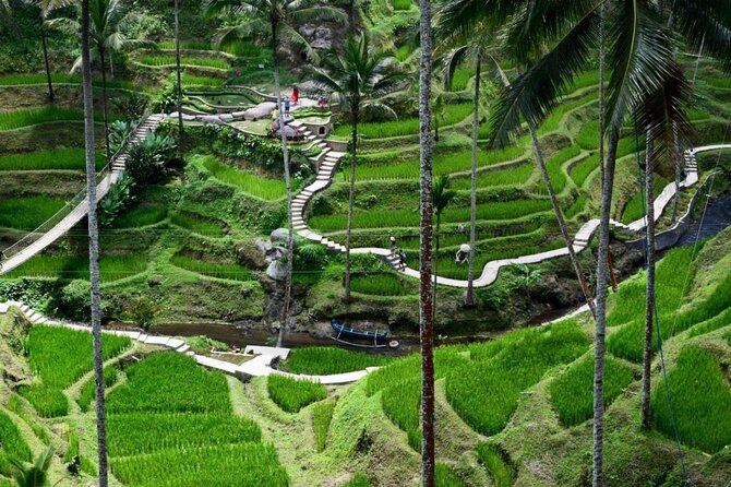Ubud: All-Inclusive Highlights Full-Day Tour - Sum Up