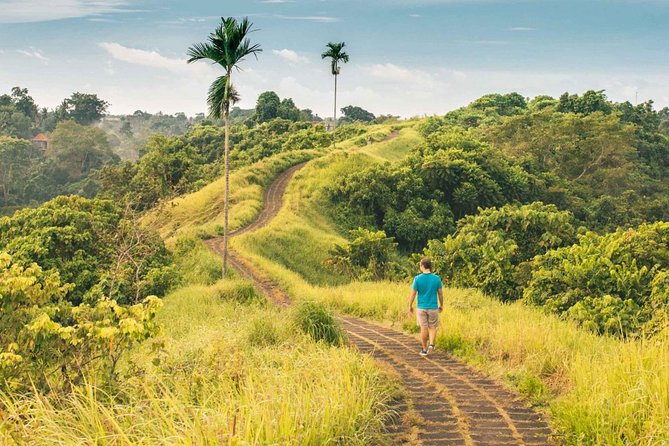 Ubud Countryside Tour: Campuhan Ridge Walk and Rice Terrace - Local Experiences