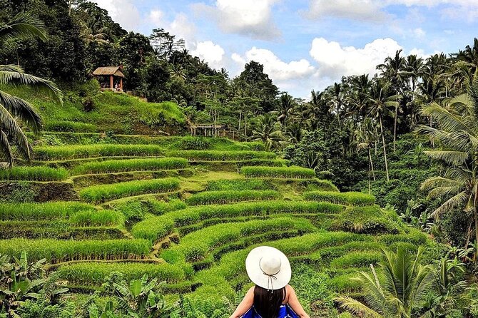 Ubud DayTrip : Monkey Forest - Rice Terrace - Jungle Swing - Water Temple - Local Cuisine Delights