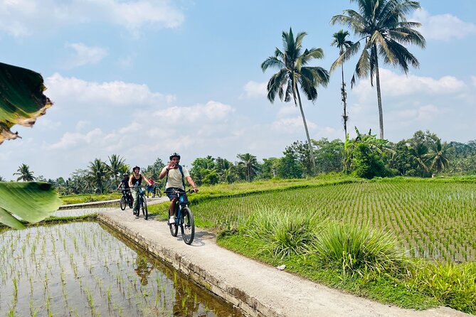 Ubud Ebikes Tour to Tegallalang Rice Terrace - Culinary Experience Included