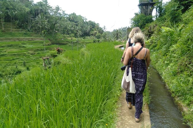 Ubud Highland Purification Temple Full Day Private Guided Tour - Reviews and Feedback