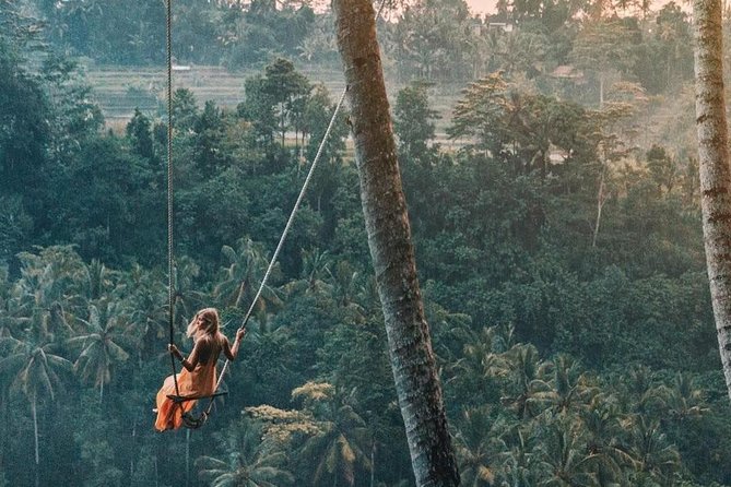 Ubud Jungle Swing, Temple & Waterfall Tour (Private Half Day Tour) - Reviews and Ratings