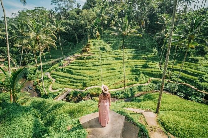 Ubud Private Full-Day Highlights: Temples, Swing, and Monkeys  - Seminyak - Reviews and Ratings Overview