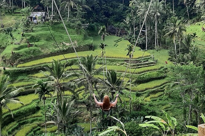 Ubud Private Transport-Only Tour With Stop at Rice Field Swing - Pricing Options