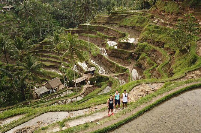 Ubud Top Attractions: Waterfalls, Temples and Rice Terraces - Enchanting Goa Gajah Temple