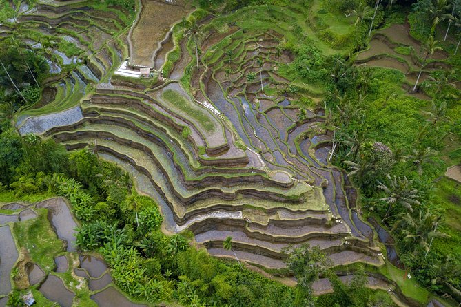 Ubud Volcano Lake and Natural Hot Spring Tour - Additional Traveler Information