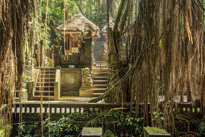 Ubud: Waterfall, Rice Terraces, and Monkey Forest Private Tour - Customer Reviews