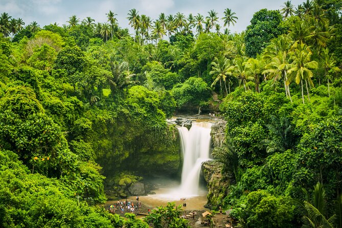 Ubud Waterfall, Rice Terraces, and Swing Explore - Planning Your Ubud Itinerary