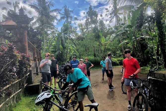Ubud Wonderful Afternoon Downhill Cycling Tour - Restrictions