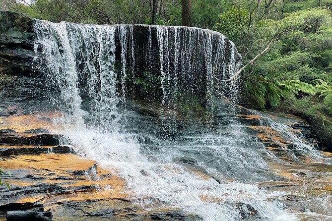 Ultimate Blue Mountains Private Tour With Scenic World and Wildlife Park - Pricing Information