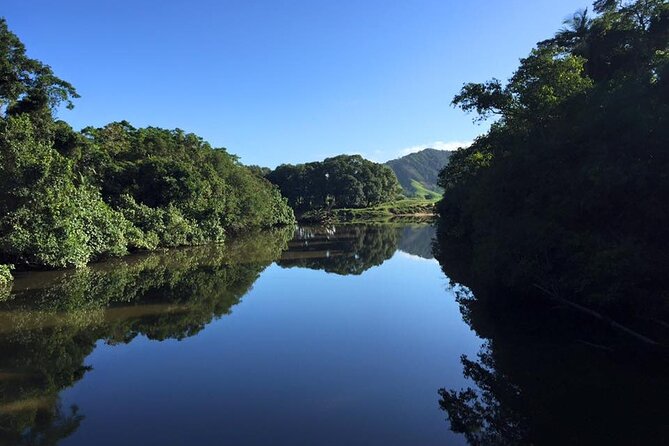 Ultimate Daintree Rainforest Wildlife Experience Cruise - Accessibility and Logistics