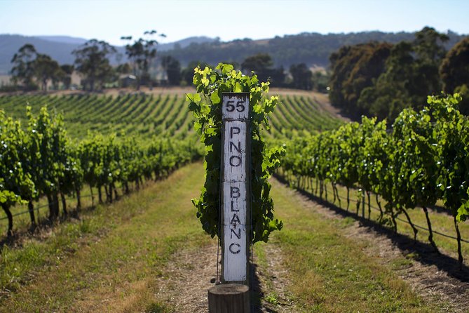 Ultimate Mornington Peninsula Food and Wine Small Group Tour - Cancellation Policy Details