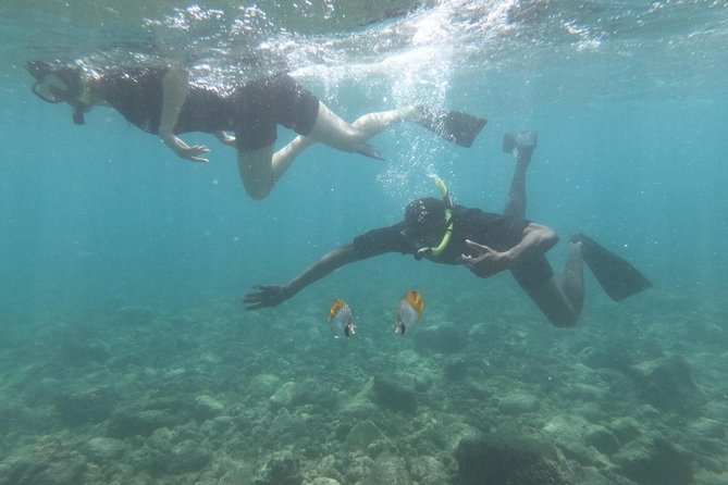 Ultimate Shore Snorkeling Adventure on Kauai - Booking and Cancellation